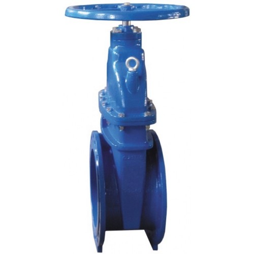 Задвижка клиновая чугунная фланцевая с обрезиненным клином Ру 16 R55F Giacomini 300 мм